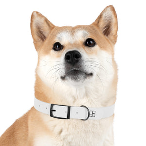 V+V Dog Collar