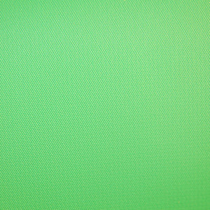 Savage Infinity Vinyl Background - 10 x 20' (Chroma Green)