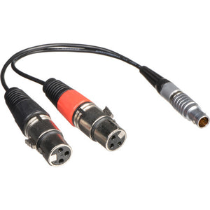 Atomos Replacement LEMO Type to XLR Breakout Cable for Shogun - Voice and Video Sales